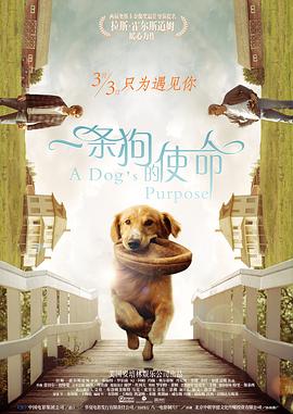 亚洲精品福利在线